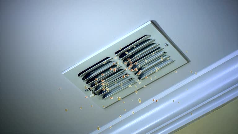 Best Professional Duct Cleaning Services  in Pleasant Hill, CA